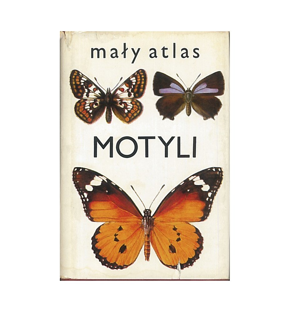 Mały atlas motyli
