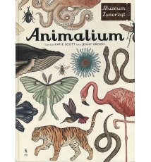 Animalium. Muzeum Zwierząt