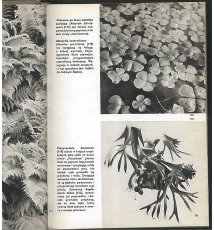 Wielki atlas roślin