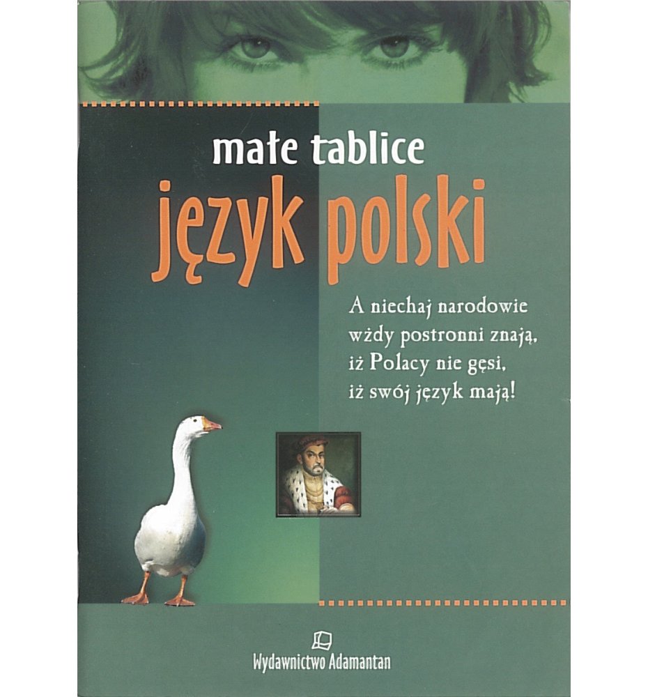 Małe tablice. Literatura polska