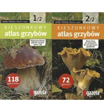 Kieszonkowy atlas grzybów [1-2]