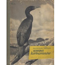 Wyspa kormoranów